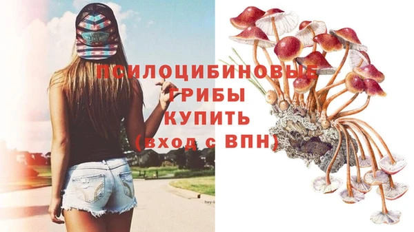 сатива Абдулино