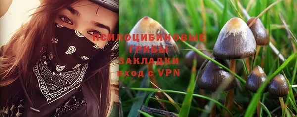 прущие грибы Алексин