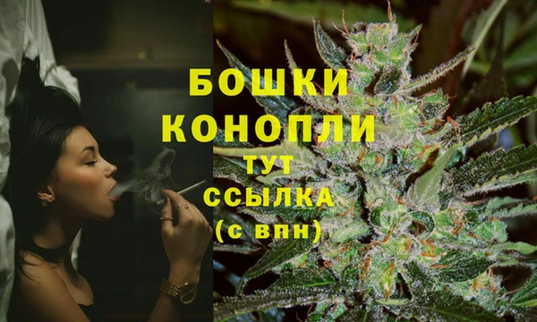 сатива Абдулино
