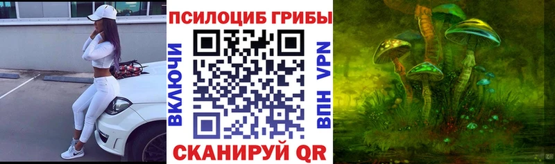 Псилоцибиновые грибы GOLDEN TEACHER  Кизляр 